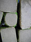 San Fran Vacation 137